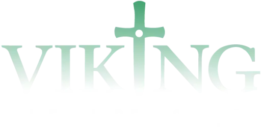 VİKİNG METAL DEDEKTÖR