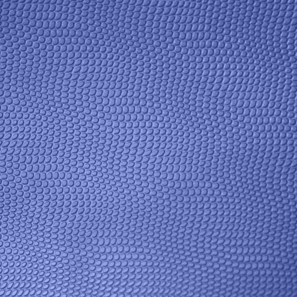 XP GOLD PAN ALTIN LEĞENİ 27CM