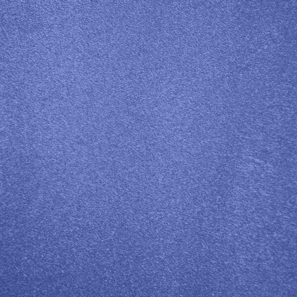 XP GOLD PAN ALTIN LEĞENİ 37CM